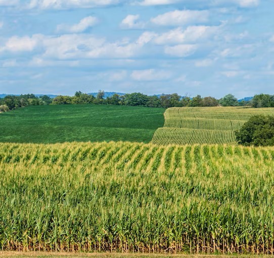 agricultural-society